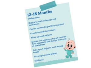 K2C Physical Therapy Milestones - Age 12-18 Months