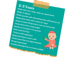 K2C Physical Therapy Milestones - Age 2-3 Years