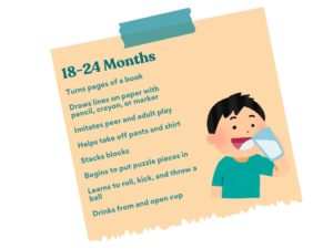 K2C Occupational Therapy Milestones 18-24 Months
