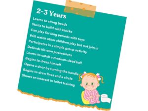 K2C Occupational Therapy Milestones 2-3 Years