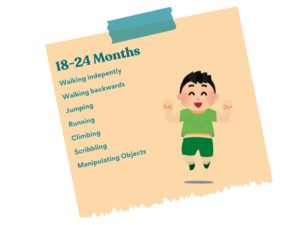 K2C Physical Therapy Milestones 18-24 Months